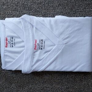 Raphael men's t-shirts